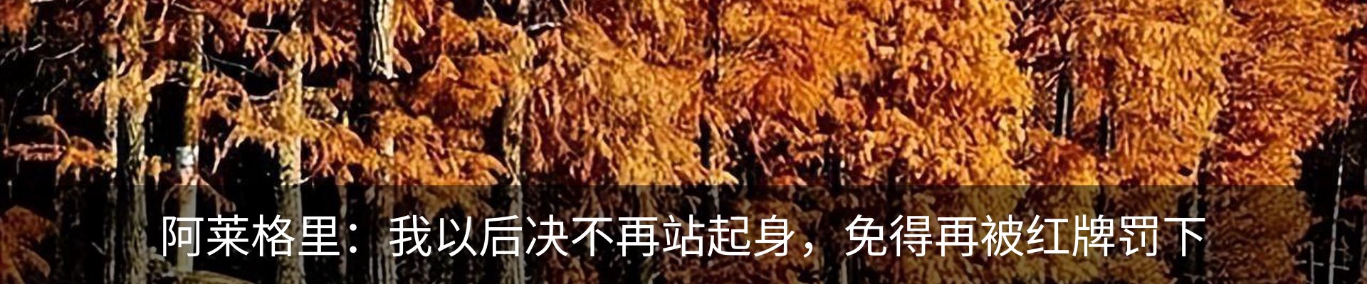 行业资讯